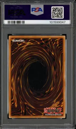 2024 Yu-Gi-Oh! MP24 1st Edition #EN053 Dark Magician Girl PSA 10 GEM MINT - Image 2