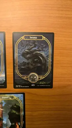 MTG Unsanctioned full art lands nonfoil near mint NM magic the gathering - Image 5