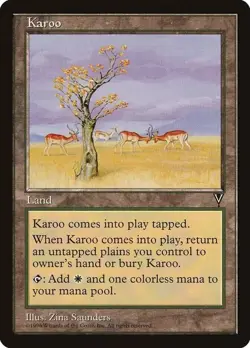MTG Magic | LP- Karoo - Visions LP/MP - Image 1