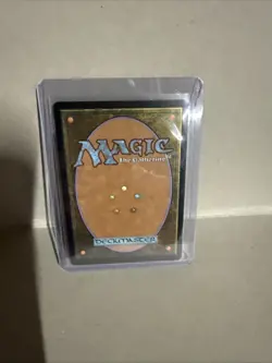 Rain-Slicked Copse (Extended Art) Commander: Lorwyn Eclipsed Regular - Image 2