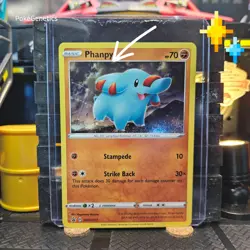 Phanpy HD Swirl Promo Sword & Shield Pokemon TCG SWSH117 Black Star - Image 1