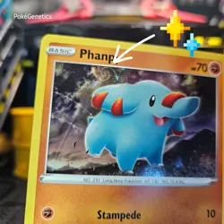 Phanpy HD Swirl Promo Sword & Shield Pokemon TCG SWSH117 Black Star - Image 2