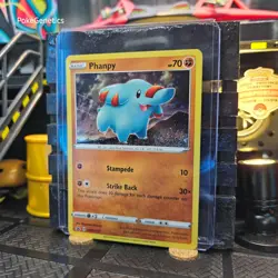 Phanpy HD Swirl Promo Sword & Shield Pokemon TCG SWSH117 Black Star - Image 3