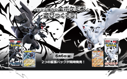 Pokemon Card Promo & Black Bolt White Flare 6 Packs & Card File Set Japan - Image 2