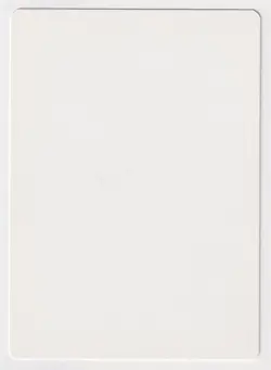 Signed Italian Magical Hack Proof MP 4th Edition Artist Julie Baroh MTG Magic AP - Image 2