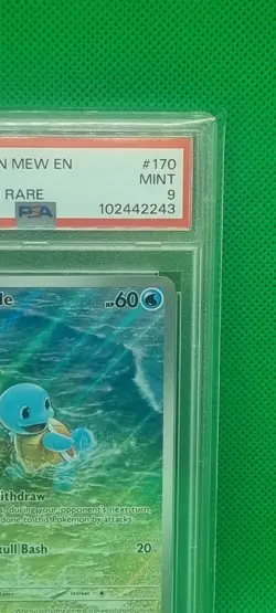 PSA 9 Squirtle 170/165 Pokemon Card 151 Illustration Rare English Mint Graded IR - Image 4