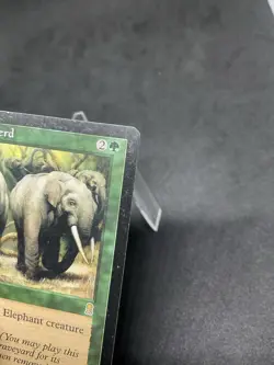 Call of the Herd Odyssey Regular MTG #231 HP - Image 2