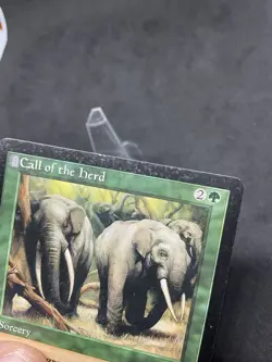 Call of the Herd Odyssey Regular MTG #231 HP - Image 3