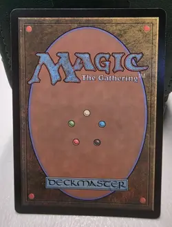 Archmage of Echoes (Extended Art) #45 (NM) Wilds of Eldraine WOC Magic MTG - Image 2