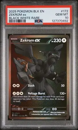 2025 Pokemon Black Bolt Zekrom ex #172 White Rare PSA 10 - Image 1