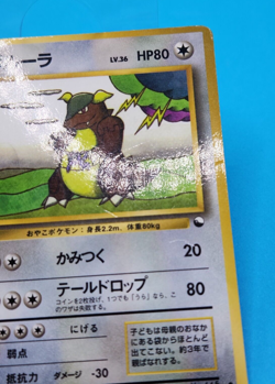 Pokemon Card Japanese - Kangaskhan No. 115 - Glossy - Vending Series - Image 2