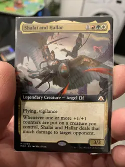 MTG - (Extended Art) SHALAI AND HALLAR - March of the Machine Com (M) - Image 1