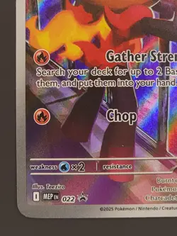 Charcadet 22 Black Star Promo Phantasmal Flames NM Pokemon TCG - Image 4