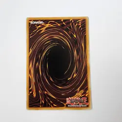 Naturia Forest - DREV-EN051 - Common - LP - 1st ed - Duelist Revolution - Yugioh - Image 2
