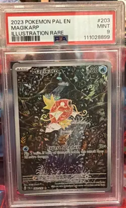 Pokemon TCG Magikarp Holo Card Paldea Evolved Illustration, Rare, PSA 9, 203/193 - Image 1