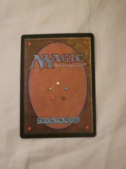 Veteran Brawlers - Foil New MTG Prophecy LP L1 - Image 2