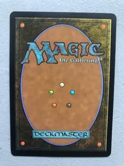 Mtg Carte Magic Future Sight Delay Retard French LP - Image 2