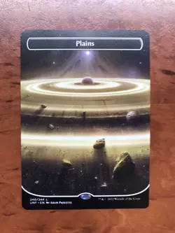 Plains 240 Extended Borderless MTG Magic the Gathering Card NM Mint Unfinity UNF - Image 1