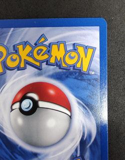 Erika’s Paras 71/132 - Gym Challenge Common - Pokemon TCG - NM condition - Image 4
