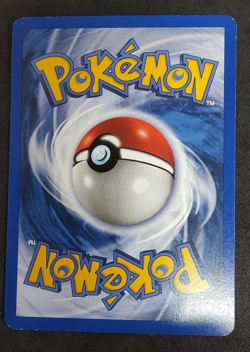 Pokemon Bayleef 28/111 Neo Genesis Unlimited WOTC Pokemon Uncommon Card - Image 2