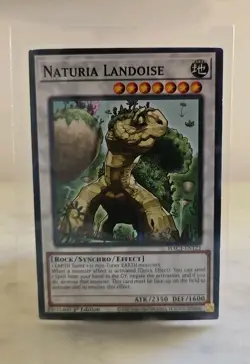 Yu-Gi-Oh! TCG: Naturia Landoise HAC1-EN123 - Common - LP Condition - Image 1