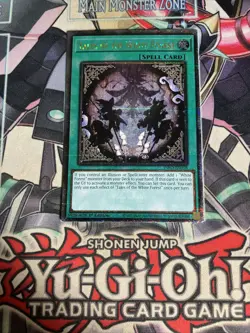 Tales Of The White Forest Quarter Century Secret Rare INFO-EN058 Yugioh VLP - Image 1