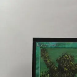 Living Lands x (1) MTG - Collectors' Edition (CE) - EX/NM - Image 2