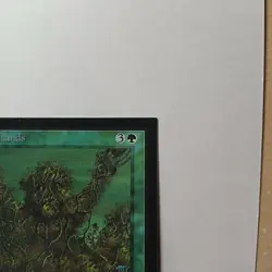 Living Lands x (1) MTG - Collectors' Edition (CE) - EX/NM - Image 3