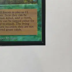 Living Lands x (1) MTG - Collectors' Edition (CE) - EX/NM - Image 4