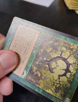 MTG Oath of Druids / Giuramento dei Druidi - Exodus JAPAN Giapponese (VG #3) - Image 4