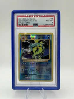 2016 Pokemon XY Evolutions Gyarados Reverse Holo #34 PSA 8 NM-MT - Image 1