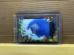 Monkey D Garp OP4-15 SR Japanese One Piece Itajaga Wafer Card Sealed - Image 1