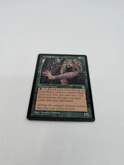 NM, English - 1 x MTG Hermit Druid Stronghold Magic The Gathering - Image 2