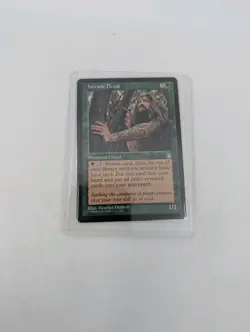 NM, English - 1 x MTG Hermit Druid Stronghold Magic The Gathering - Image 5