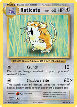 Pokemon - Raticate (67/108) [XY: Evolutions] Reverse Holo - Image 1