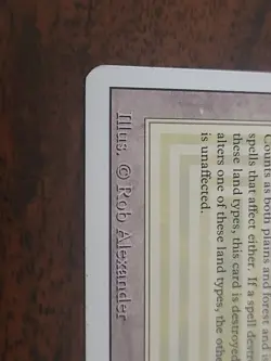 MTG Savannah Revised Edition 1994 LP Dual Land White Green Rare - Image 2