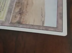 MTG Savannah Revised Edition 1994 LP Dual Land White Green Rare - Image 5