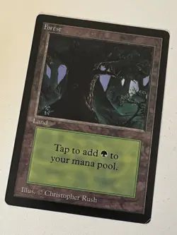 Magic the Gathering MTG Beta Forest v.3 (DARK) LP (Beta Bob) - Image 1