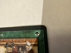 MAGIC * MTG Homelands Error Cards - Small Factory Crimp Top Edge -- NM - Image 4