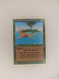 Birds of Paradise Revised Edition Regular - Image 1