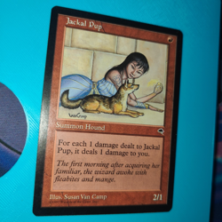 Free Ship! LP Jackal Pup (183/350) Tempest MTG Lightly Played See pictures!! - Image 1