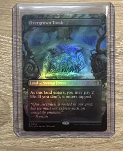 Overgrown Tomb (Borderless) Lorwyn Eclipsed Foil Near Mint - Image 1
