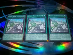 3x White Rose Cloister 1st Edition Common L5DD-ENA22 Yu-Gi-Oh! - Image 1