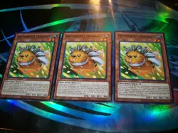 3x Anchorbolt Hedgehog 1st Edition Common L5DD-ENY02 Yu-Gi-Oh! - Image 1
