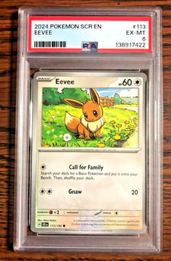 Eevee Regular Common #113 - PSA EX-MT 6 - 2024 SV Stellar Crown - Pokemon TCG - Image 1