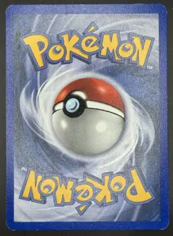Pokemon TCG Team Aqua's Walrein Holo EX Team Magma VS Aqua 6/95 MP *SWIRL* - Image 2