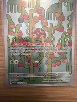 Shuckle 136/132 Me01: Mega Evolution IR Holo English Pokemon TCG - NM No Reserve - Image 3