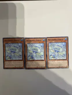 Yugioh 3x Mulcharmy Purulias L5DD-ENY18 Common 1st Edition NM - Image 1