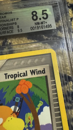 2004 Pokemon World Championship FINALIST Tropical Wind #026 BGS 8.5 - Image 3