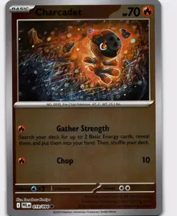 Charcadet Reverse Holo Common ME02: Phantasmal Flames 019/094 NM Pokemon - Image 1